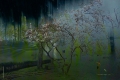 magnolie-w